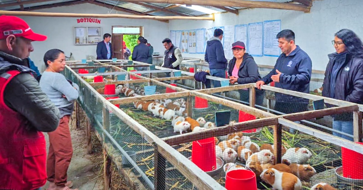 UNTRM, JICA y FONCODES unen esfuerzos para fortalecer las capacidades de los productores de la red Michi-no-Eki en Amazonas