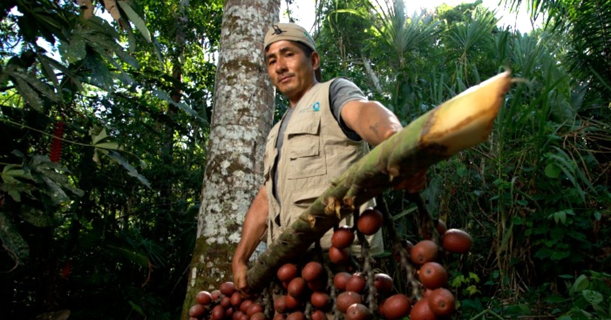 Minam lanza proyecto para conservar biodiversidad en seis regiones del norte