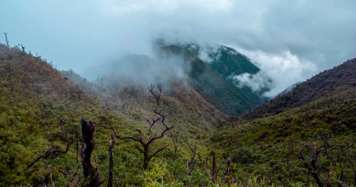 Santuario Nacional Cordillera de Colán contará con un nuevo Plan Maestro para 2026 - 2031